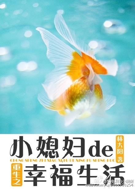 重生小媳妇无删减